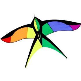 rainbow bird kite