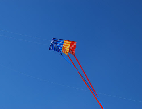 Kites