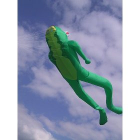 Le Frog 4.2 M Kite